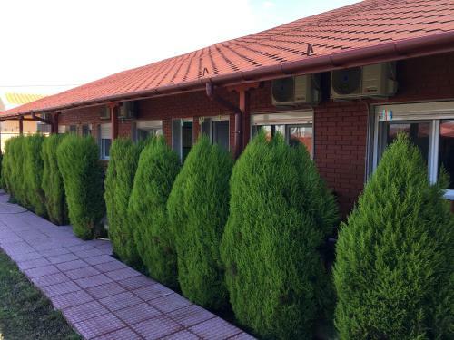 Bed & Breakfast Hotel Kitrino