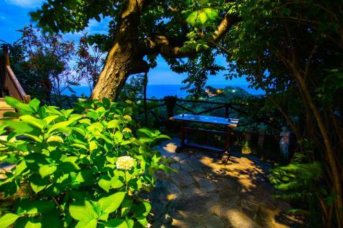 Apartamento Traditional Home For Relaxation And Amazing View!!