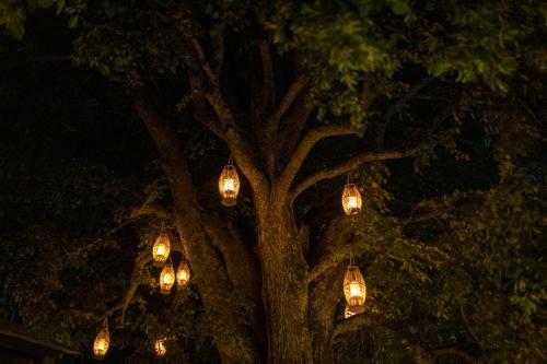 Hotel Tilia Resort