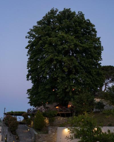 Hotel Tilia Resort
