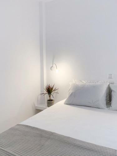 Apartamento Lulu