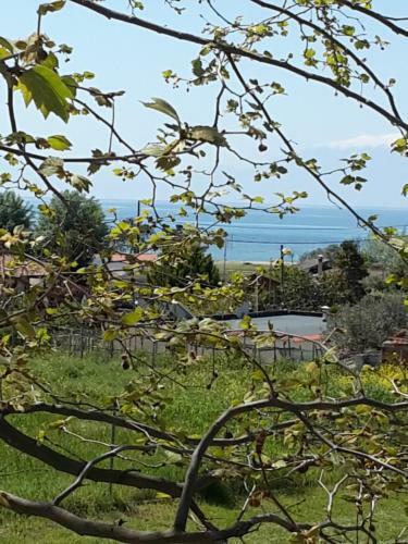 Lefter's Cottege