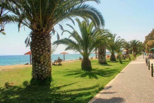 Koko's Summer House