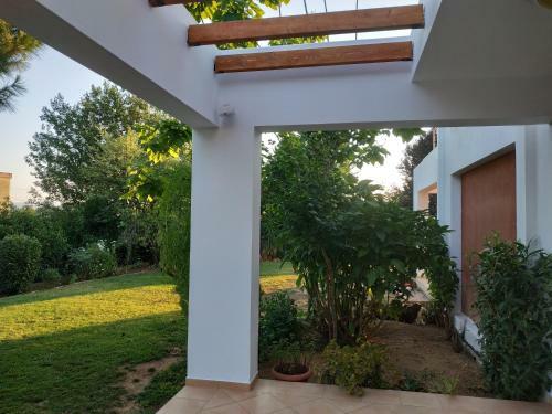 Unique Villa In An Orange Grove
