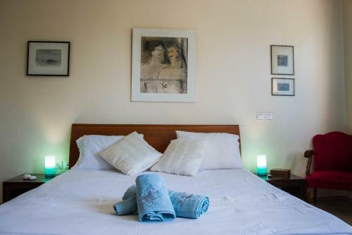 Unique Villa In An Orange Grove