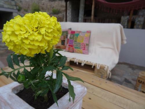 Agroturismo Villa Fairytale