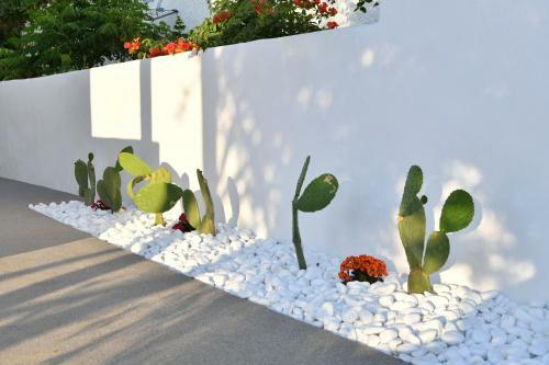 21 Luxury Apartments