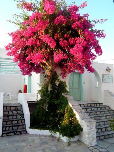 Apartamentos Astoria Paros