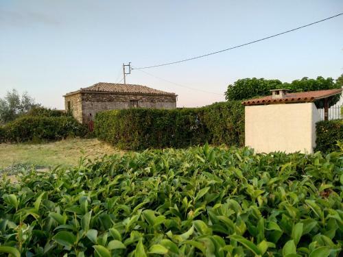 Ellina's Home - Evia Island