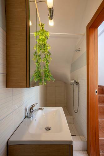 Alterra Vita Homes By The Sea