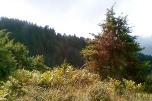 Apartamento ?????????? ???? ??? ?????