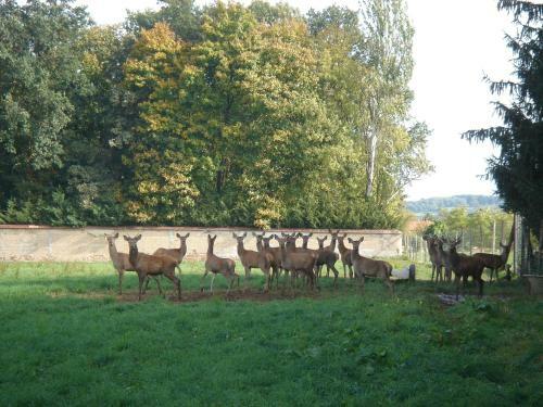 Bed & Breakfast La Ferme Aux Biches