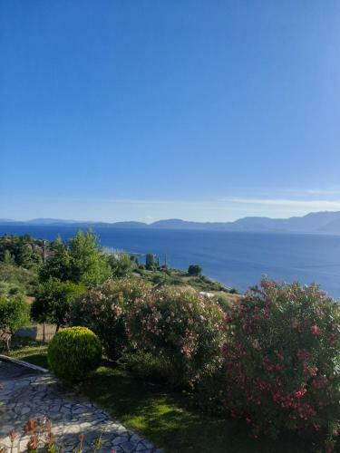 Villa Pananta Ionian Sea