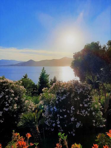 Villa Pananta Ionian Sea