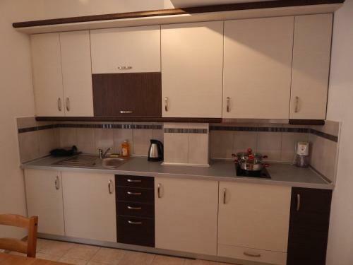 Palm House Nikiti - Apartments Vicky