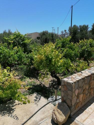 Agroturismo Philoxenia Holiday Home