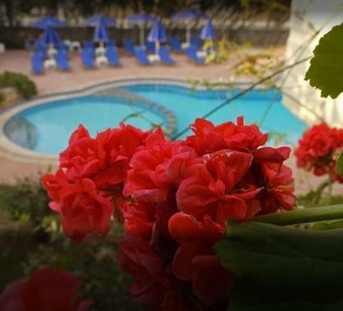 Lili Apartments,oasis 2,5 Km From Hania Center