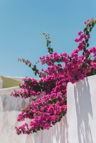 Villa The Ivory Suite In Santorini