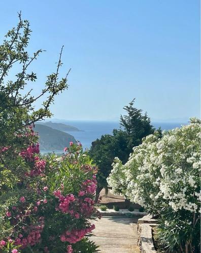 Patmosphere Luxury Escape Adults-only