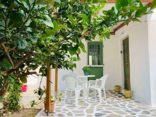Central Traditional Cycladic House With Garden