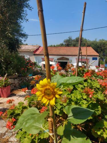 Mantzaros Country House