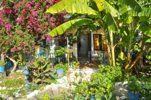 Apartamento Pension Telis Und Brigitte 1