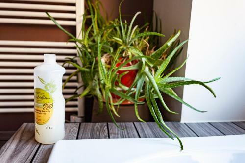 Bed & Breakfast La Vieille Auberge