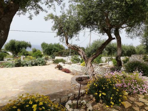 Villa Danae