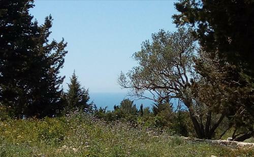 Apartamento Villa Olive Garden, Kastanida - Paxoi