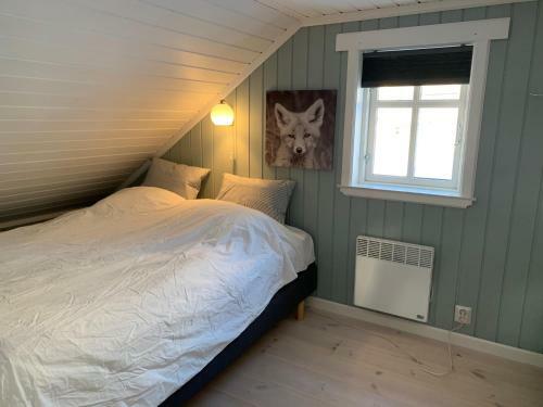 Lemonsj�en-jotunheimen-besseggen