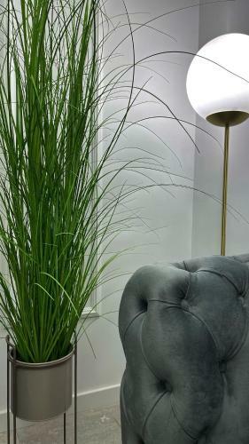Apartamento Perfect Stay