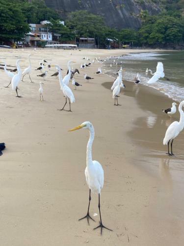 Su�tes Praia De Itaipu