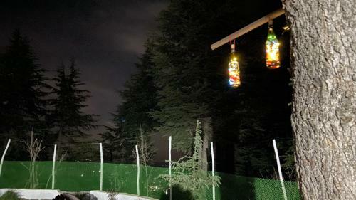 Nishal Homestay