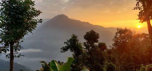 Teesta Tendong Homestay