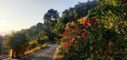 Teesta Tendong Homestay