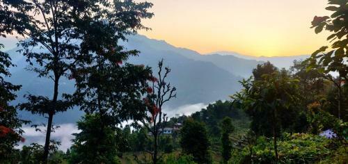Teesta Tendong Homestay
