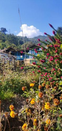 Teesta Tendong Homestay