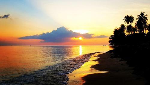 Hostal Islandlife Bungalows