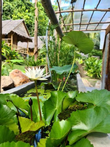 Bamboo Bay Island Resort