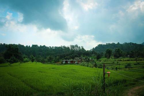 Nongtao Homestay