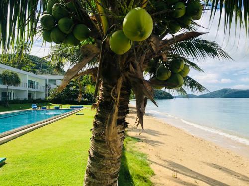 D-lux 4 Bed Beachfront Apartment With Sea View