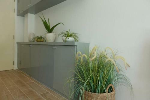 Seaview Apartment,reception Survice?shuttle Bus