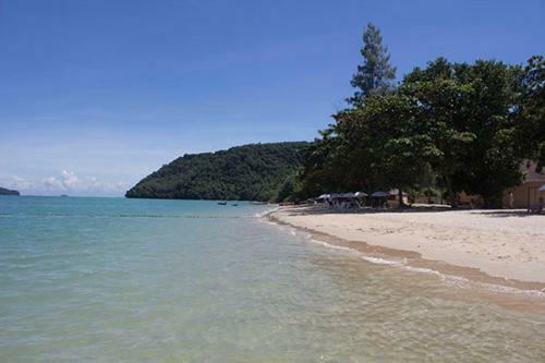 Hotel Cruiser Island Resort