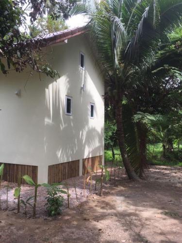 Jungle View Suite