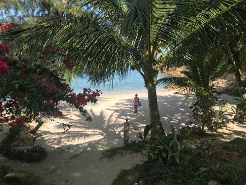Agroturismo Coconut Beach Bungalows