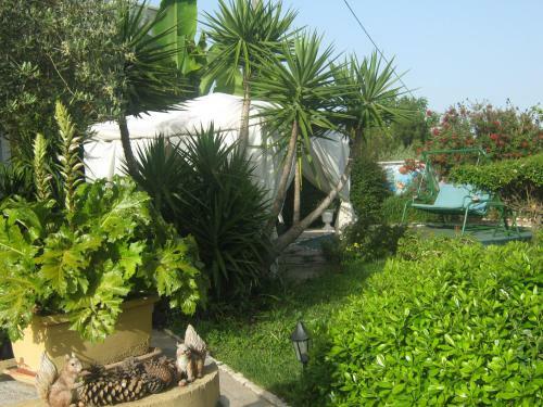 B&B Mariposa