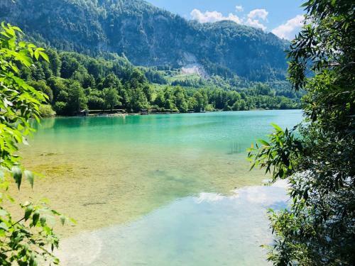 Apartamento Ferienwohnung Attersee-mondsee