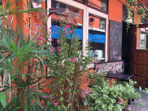 Hostal Hidden Lumpu