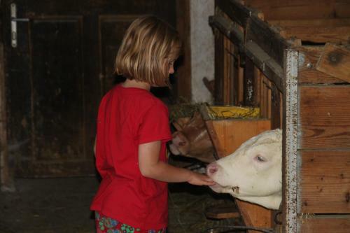 Agroturismo Biohof Bernhard