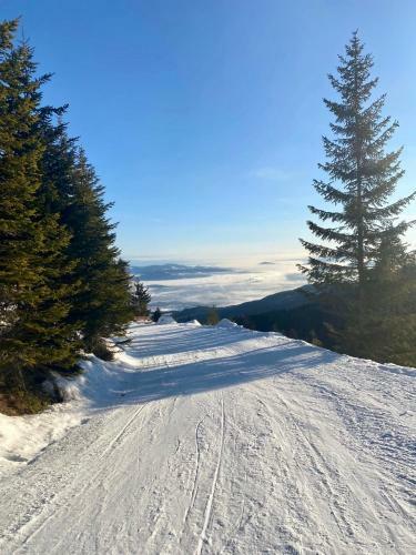 Apartamento Vl-wohnen Alpin Estate